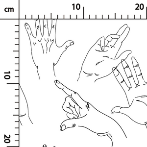 342. Gestures basic in white