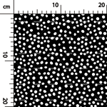 Load image into Gallery viewer, 429. Microscopic bubbles black&amp;white in inverse
